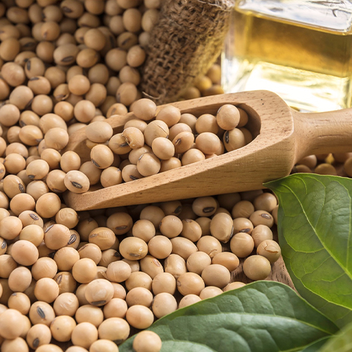 Soybeans